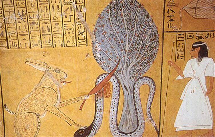 7 Tage Ägypten Rundreise Kairo und Luxor